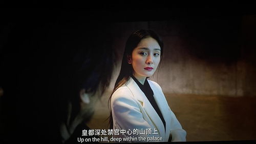 《心有猛虎细嗅蔷薇》，女星曾黎家中惊现宝藏，揭秘自制酵素的神奇世界与环保生活理念，曾黎 素颜