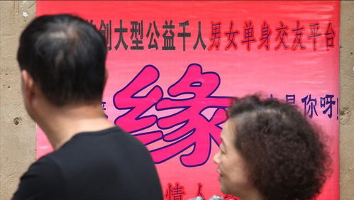 《好人，一定有好报》短剧在线观看，前夫叫我老板娘短剧在线观看，前夫叫我老板娘 小长篇小说短剧在线观看