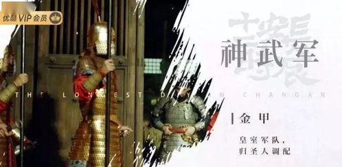 《秋思入长安》短剧在线观看，再次相遇心跳不已（99集）短剧在线观看，再次相遇观看短剧在线观看