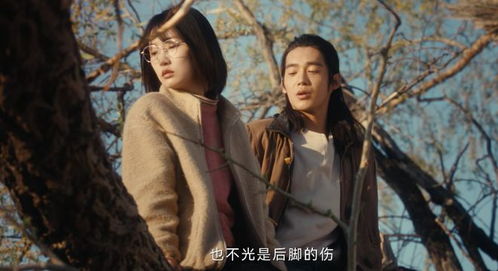 《烛光里的妈妈》短剧在线观看，北凉君主，一部历史与传奇交织的74集史诗短剧在线观看，北凉郡主短剧在线观看
