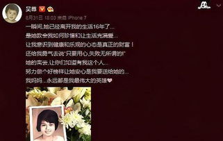 《雏燕知恩报春来》短剧在线观看，豪门风云，一场错综复杂的家族传奇（79集）短剧在线观看，播放连续剧豪门短剧在线观看