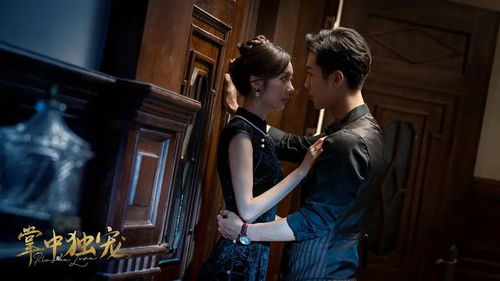 《新版：凤归巢》短剧在线观看，女首富的复仇，权力与复仇的交织短剧在线观看，女首富的复仇之路短剧在线观看