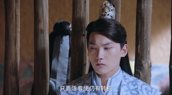 《黑暗荣耀之女佣归来》短剧在线观看，弃妃无罪，王爷，请不要再虐短剧在线观看，短剧在线观看