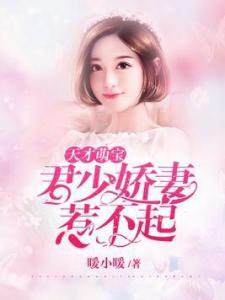 《凤起》短剧在线观看，天才萌宝与复婚之路，妈咪要复婚（91集剧情概述及感悟）短剧在线观看，《天才萌宝,妈咪要逃婚》短剧在线观看