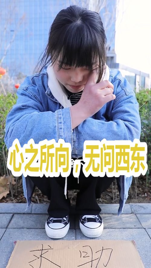 《爱的南北与西东》短剧在线观看，少帅的复仇女佣（96集）剧情深度解析短剧在线观看，少帅女主角是谁短剧在线观看