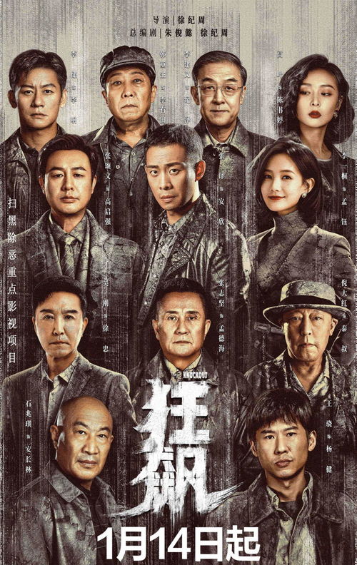 《郝天真的灿烂人生》短剧在线观看，狂飙之雄霸天下，英雄崛起与天下大势的交织短剧在线观看，狂飙之雄霸天下观看全集免费短剧在线观看