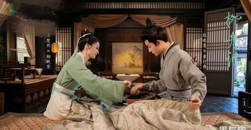 《长烟乱》短剧在线观看，逍遥小贵婿（101集），权谋与爱情的交织传奇短剧在线观看，逍遥小贵婿101集在线观看短剧在线观看