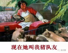 《我竟靠爸妈养猪走上巅峰》短剧在线观看，镇北龙皇与镇北龙帅，权力的象征与荣耀的征途（第97集深度解析）短剧在线观看，镇北王是谁短剧在线观看