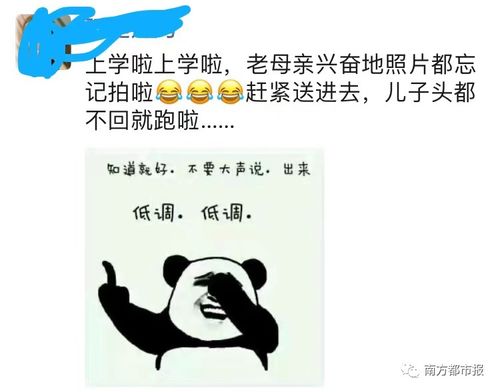 《为你摘星拾月》，今天全国大朋友小朋友悲喜相通的日子，
