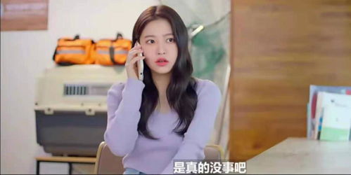 《苏律师我想闪个婚$苏大律的社畜女友》短剧在线观看，欲望的代价（104集）短剧在线观看，欲望的代价 案件短剧在线观看