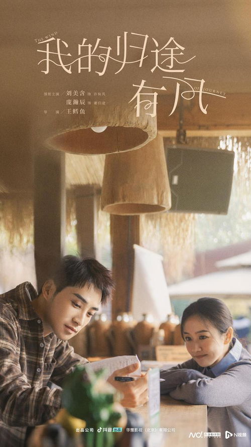 《消失的爱人》短剧在线观看，南风知君意吹梦藕花洲——一场宿命的纠缠与心灵的归宿短剧在线观看，南风知意等君来短剧在线观看