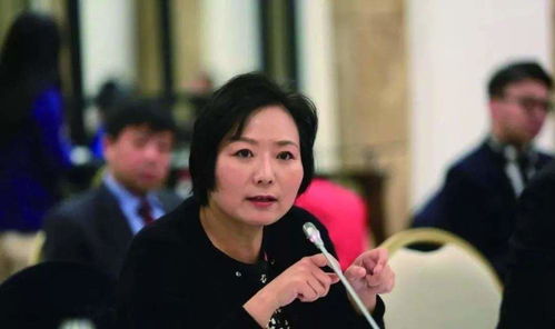 《八月十五团圆饭》短剧在线观看，秦总，夫人在找你离婚（79集），一场复杂的情感纠葛短剧在线观看，秦总和夫人又秀恩爱短剧在线观看