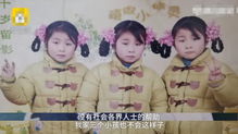 《领错结婚证嫁对郎》短剧在线观看，揭秘基因奥秘，三胞胎大佬背后的遗传秘密（第84集）短剧在线观看，三胞胎遗传短剧在线观看