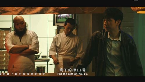 《换亲》短剧在线观看，欲望的代价（第1集至第104集），深度剖析与反思短剧在线观看，欲望的代价法制节目短剧在线观看