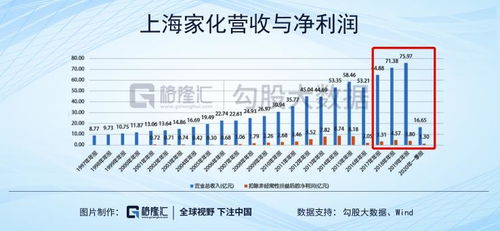《武练巅峰》，全国多地开启大科室改革，重塑医疗体系的新篇章，大科室制