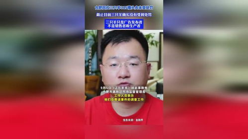 《爱情不过一种疯》，合肥回应三只羊事件，糟头肉未受处罚背后的真相与启示，合肥三只羊mcn机构