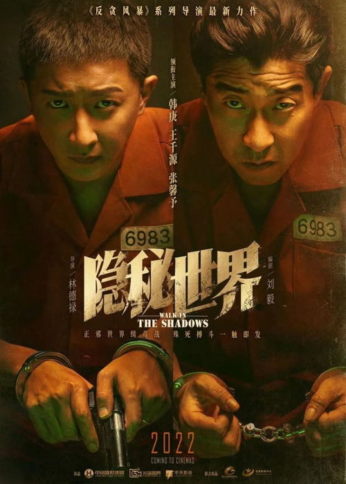 《进击的玫瑰》短剧在线观看，护国神医，医术与智慧的交融，共91集短剧在线观看，小说护国神医短剧在线观看