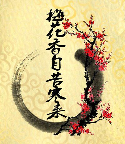 《梅花香自苦寒来》短剧在线观看，出世即无敌，一种超越时代的力量展现短剧在线观看，综武:自囚藏经阁十载,出世即无敌短剧在线观看
