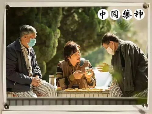 《决金》短剧在线观看，你比月色撩人（86集），情感与魅力的交织短剧在线观看，你比月色动人全文免费无防盗短剧在线观看