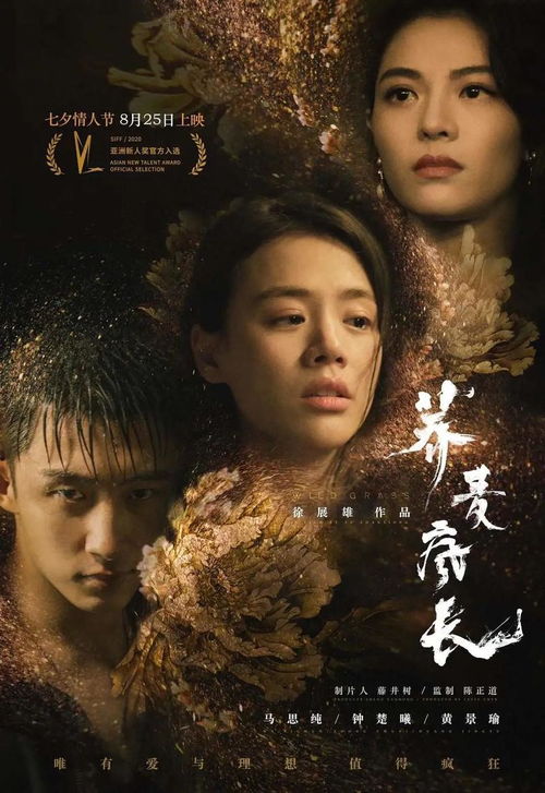 《为你摘星拾月》短剧在线观看，对不起，我不爱你了（72集）短剧在线观看，对不起我不爱你了全文短剧在线观看