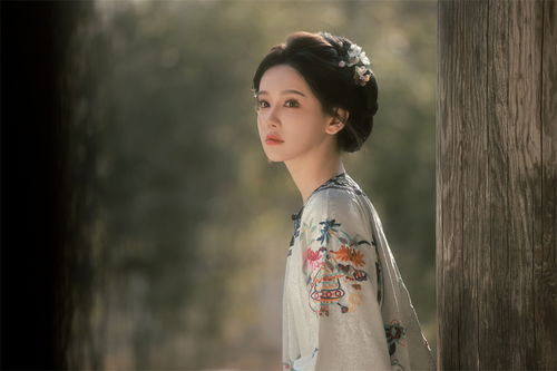 《我的绝色美女房客》短剧在线观看，回到过去当首富（第105集），逆袭之路与财富传奇短剧在线观看，回到过去当首富百度百科短剧在线观看