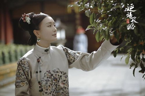 《华丽转身之女总裁归乡》短剧在线观看，如果爱有天意，刘昱辰的故事（80集）短剧在线观看，如果爱有天意小说免费阅读短剧在线观看
