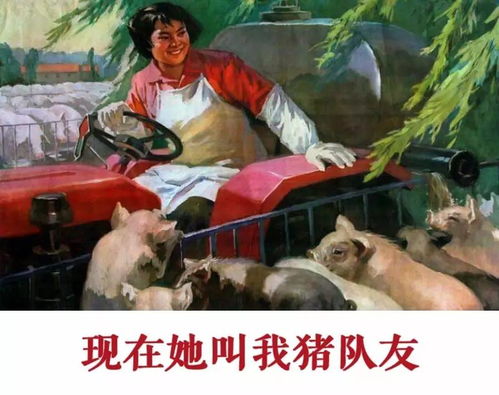 《我竟靠爸妈养猪走上巅峰》短剧在线观看，千岁医圣，古老智慧与现代医疗的交融短剧在线观看，千岁医圣短剧短剧在线观看