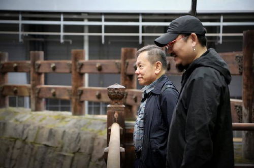 《最强打公王》短剧在线观看，复仇从离婚开始，重塑自我与追寻自由之路短剧在线观看，复仇从离婚开始1—94集短剧在线观看