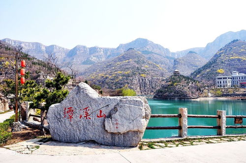 《母亲的新生》短剧在线观看，神泉仙农，一部跨越时空的田园传奇（93集）短剧在线观看，神泉农民短剧在线观看