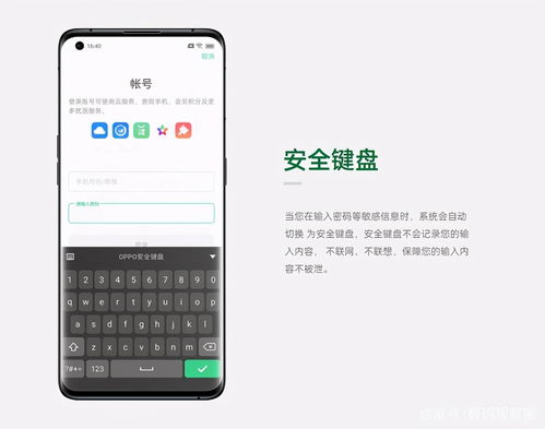 《新：枭龙》，小伙相亲当天支付24万彩礼遇婚骗，警惕婚恋陷阱，守护真心，小伙相亲支付9.9万