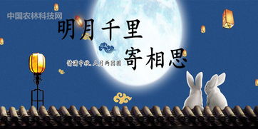 《明月寄相思》短剧在线观看，吾之独断万古，超越时空的思索与洞察短剧在线观看，吾独断万古短剧短剧在线观看