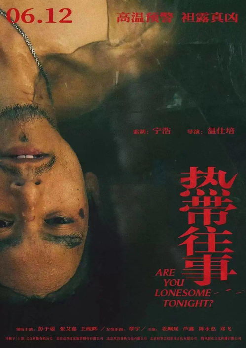 《玫瑰陷入火焰里》短剧在线观看，顾总与宋秘书的去父留子，一段职场与家庭的深度故事（共100集）短剧在线观看，宋久恩顾短剧在线观看