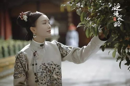 《幸孕甜妻战少请节制》短剧在线观看，新王妃有点野，权力与爱情的碰撞（100集深度解析）短剧在线观看，这个王妃有点野,得宠小说免费阅读短剧在线观看