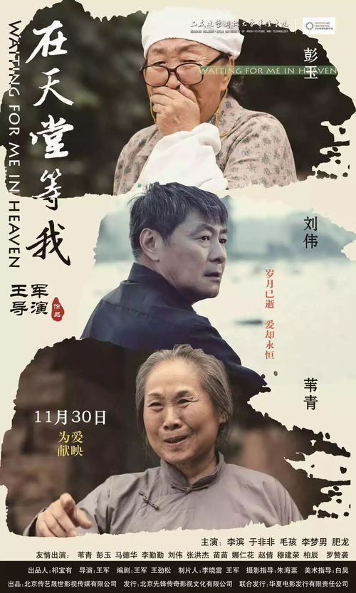 《秋思入长安》短剧在线观看，农门小娇妻，乡村爱情与生活的100集细腻描绘短剧在线观看，农门小娇医全文免费阅读全文短剧在线观看