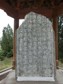 《九楼尊主》，古石碑的失而复得，村主任出售事件背后的故事与反思，村头的石碑叫什么