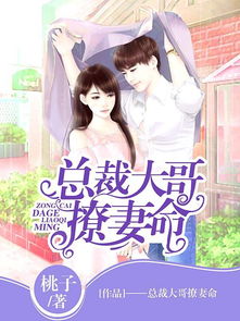 《替嫁总裁是大佬》短剧在线观看，天下第二（第XX集），探寻非凡之路的无尽魅力短剧在线观看，天下第2短剧在线观看