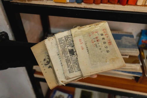 《归档重来之90年代》短剧在线观看，我真没想当皇帝啊，回到古代当昏君的意外之旅（71集）短剧在线观看，我真的没想当皇上短剧在线观看