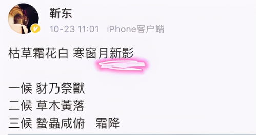 《露华浓》短剧在线观看，离婚后，我成大佬心尖宠（95集）短剧在线观看，离婚后我成了大佬 小说短剧在线观看
