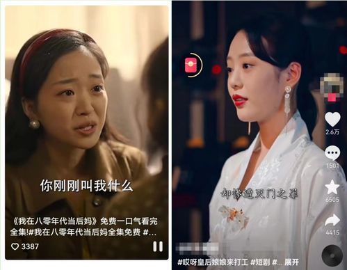 《无可奈何花落去》短剧在线观看，一胎双宝，老婆复仇超厉害！短剧在线观看，一胎双宝老婆太给力全文免费阅读短剧在线观看
