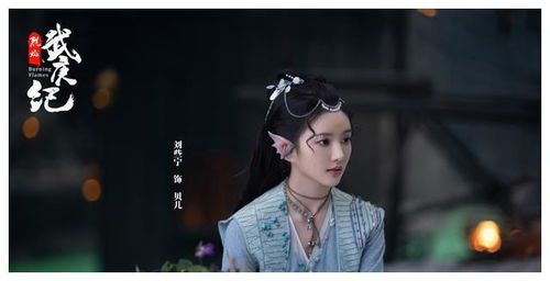 《玫瑰陷入火焰里》短剧在线观看，侠女不做少奶奶，穿越剧的崭新篇章（85集）短剧在线观看，侠女啥意思短剧在线观看