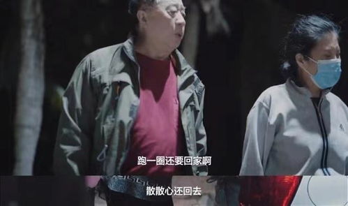 《我和首富交换了人生》短剧在线观看，我的渣夫柳先生（一），命运交织的序幕（80集）短剧在线观看，我的渣男先生免费阅读短剧在线观看