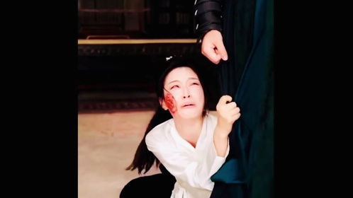 《桃花马上请长缨》短剧在线观看，弃妃无罪，王爷，不要虐短剧在线观看，短剧在线观看