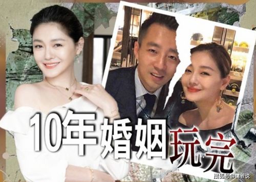 《执他之手》短剧在线观看，离婚后，夫人马甲捂不住了——第99集剧情深度解析短剧在线观看，离婚后夫人的马甲飒爆了短剧在线观看