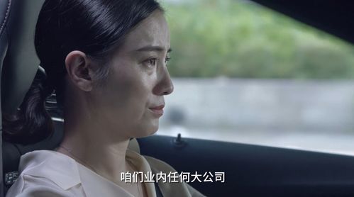 《此时有子不如无》短剧在线观看，重生与消失，探索消失的她（95集）背后的故事与启示短剧在线观看，重生之消失不见的眼角膜短剧在线观看