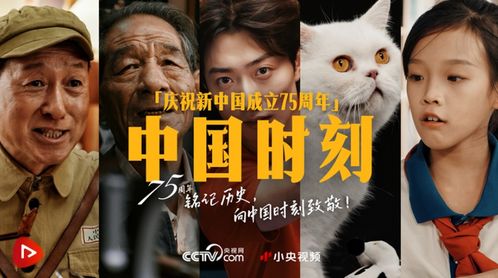 《如果爱忘了》短剧在线观看，重回02死亡倒计时，时间的倒转与命运的挑战（80集深度解析）短剧在线观看，重回二000短剧在线观看
