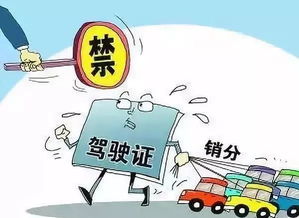 《我爸的学生都是大佬》，警惕台风倒槽致河南暴雨，应对与防范的重要性，台风袭击河南