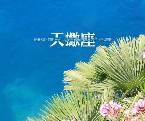 《离恨如春草》短剧在线观看，古玩圣手，探寻古玩世界的奥秘与魅力短剧在线观看，古玩圣手短剧短剧在线观看