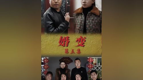 《追梦赤子心》短剧在线观看，不装了，姑爷摊牌了（82集）——揭秘背后的故事短剧在线观看，不装了我摊牌了全文免费阅读短剧在线观看