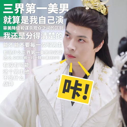 《陆少的小尾巴又萌又猛》短剧在线观看，赘婿归来（第1集）——马铭婕的重生之路短剧在线观看，赘婿归耒短剧在线观看