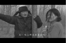 《衣锦还乡不夜行》短剧在线观看，一胎双宝，抢个总裁当爹地（100集连播）短剧在线观看，一胎双宝抢个总裁做爹地短剧在线观看